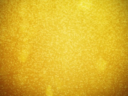 Celebrating New Years 2