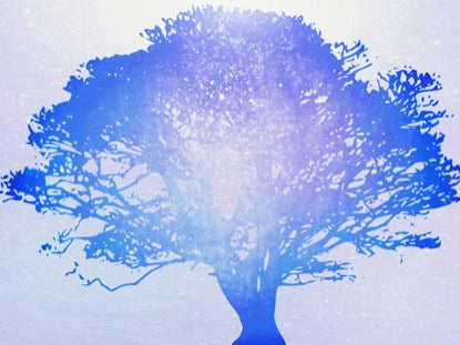 Tree Of Life Blue 1 Motion