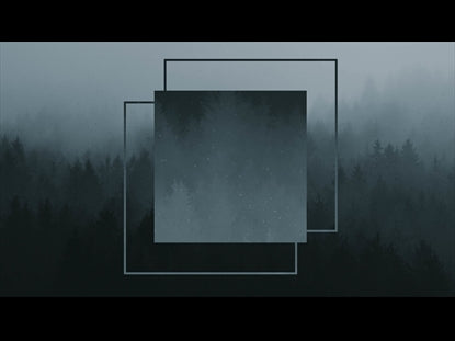 Morning Fog Forest