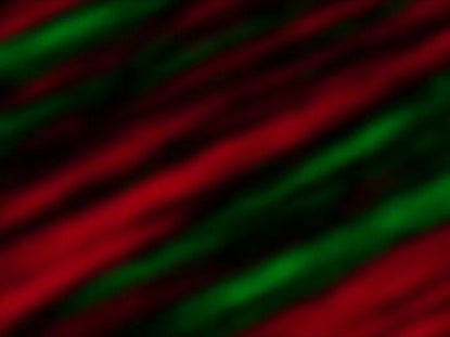 Aurora Christmas Loop
