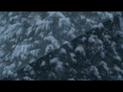 Snow Falling