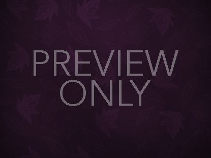 Purple Fall Still 2