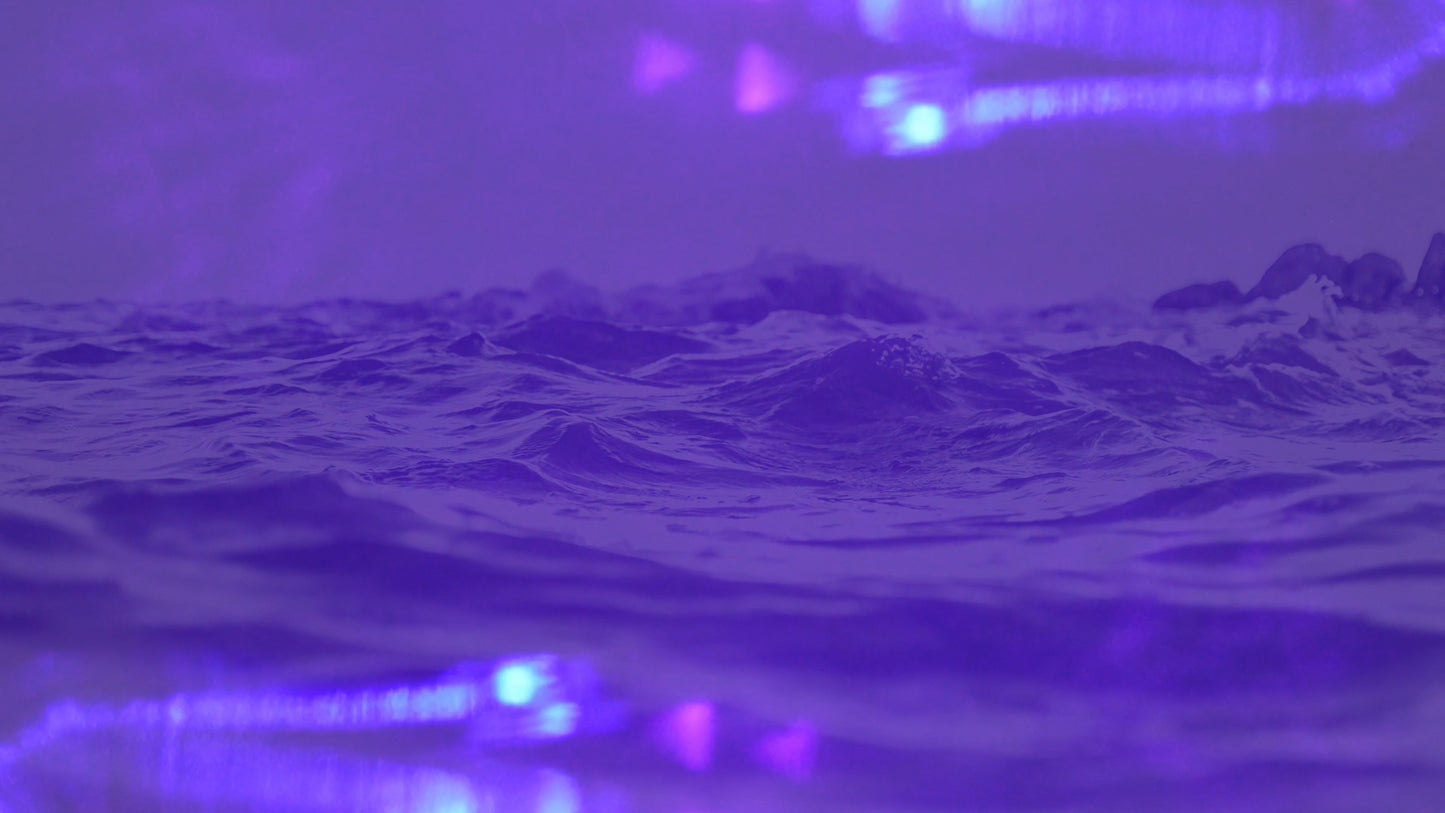 Refracted Nature Still 04