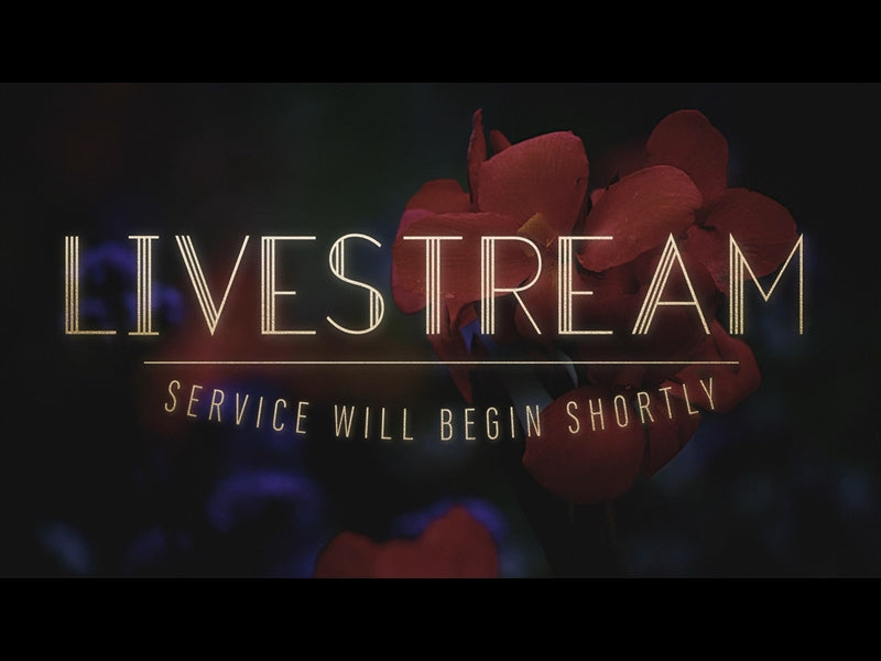 Ebony Floral: Livestream