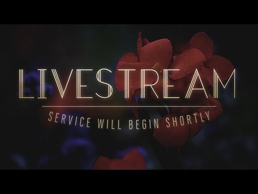 Ebony Floral: Livestream