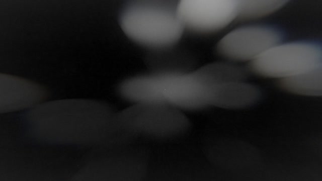 Faith in Focus 15
