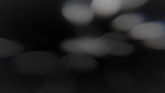 Faith in Focus 15