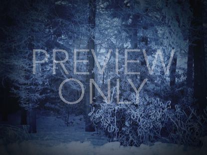 Winter Story 2 Still