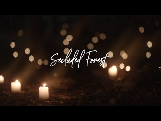 Secluded Forest