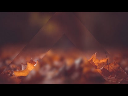 Frosted Fall 3