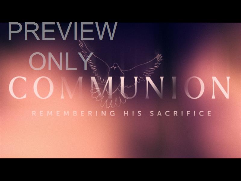 Soaring Communion Still