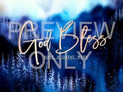 Christmas Woods Close Still