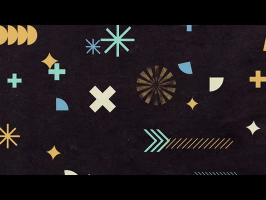 Can't Stop Wont' Stop 17