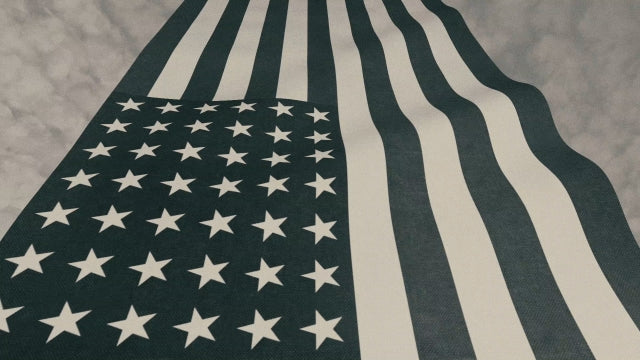 Vintage Waving American Flag 06