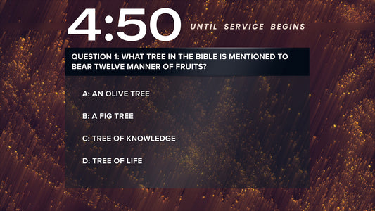 Wondrous Trivia Countdown
