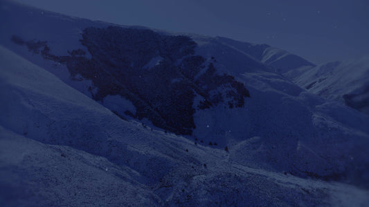 Deep Winter 7 Tint Still