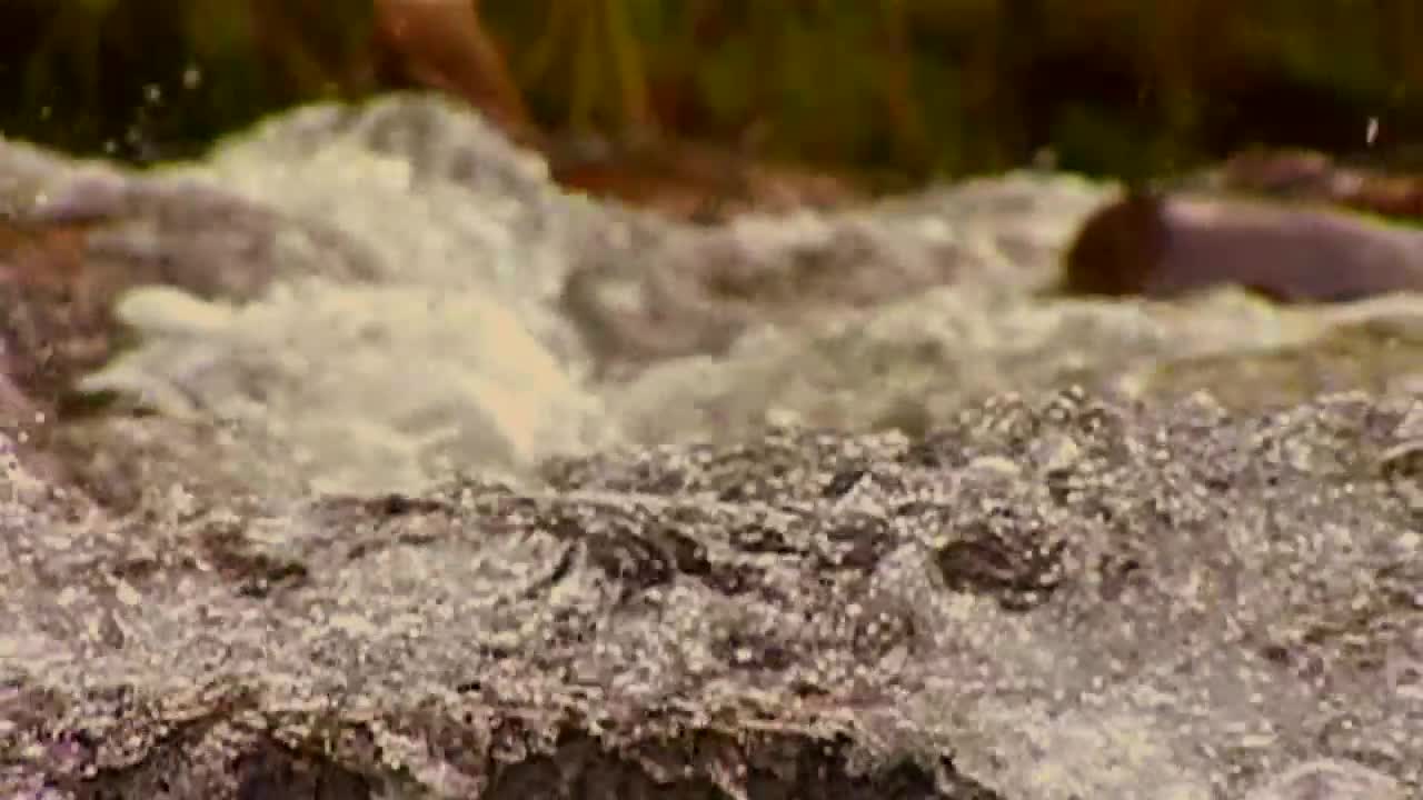 Rushing River