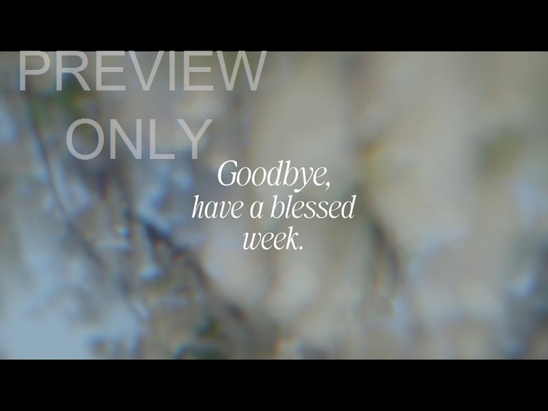 Daydream Goodbye Still