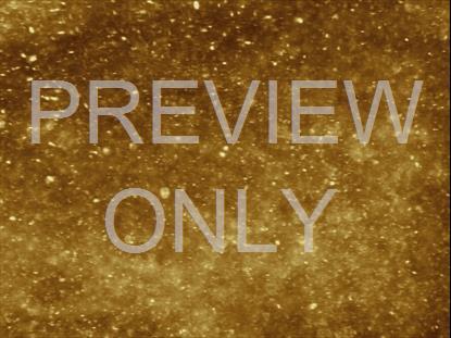 New Year Sparkle Gold