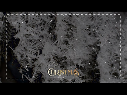 Christmas Volume Five Teaching Motion 1