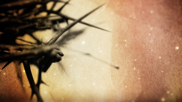 Crown Of Thorns
