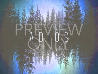 Natures Beauty Closing Still Spanish