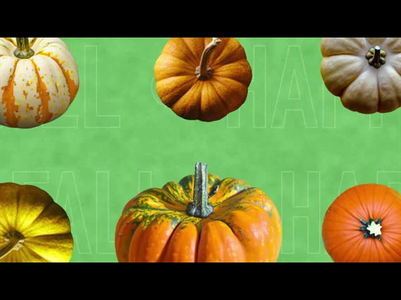 Multi Pumpkin 3