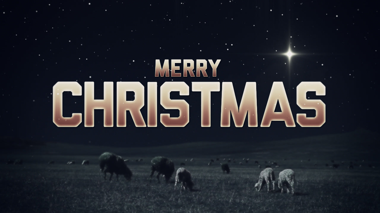 Merry Christmas Night Still