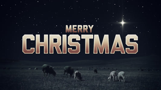 Merry Christmas Night Still