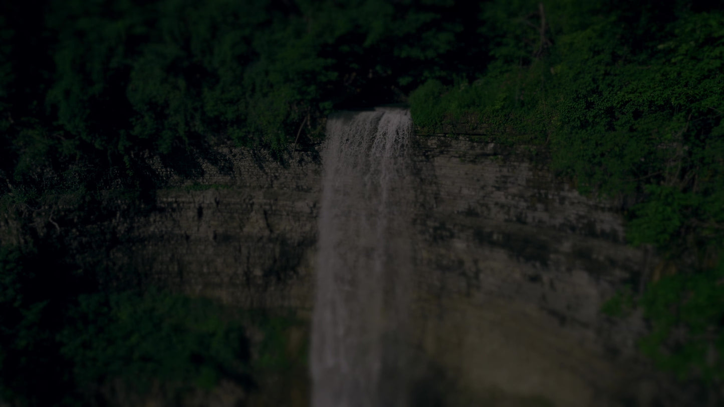 Nature's Force 13 Darken