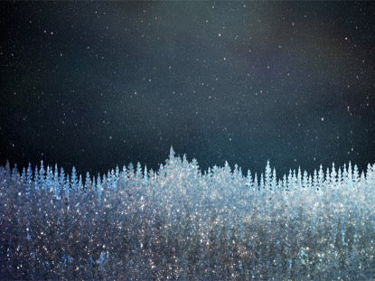 Christmas Sparkle 12