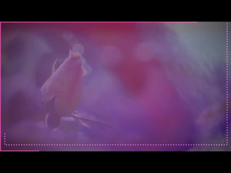 Consider The Flowers Background Loop