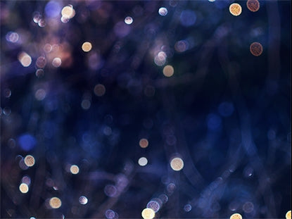 Winter Frost 4