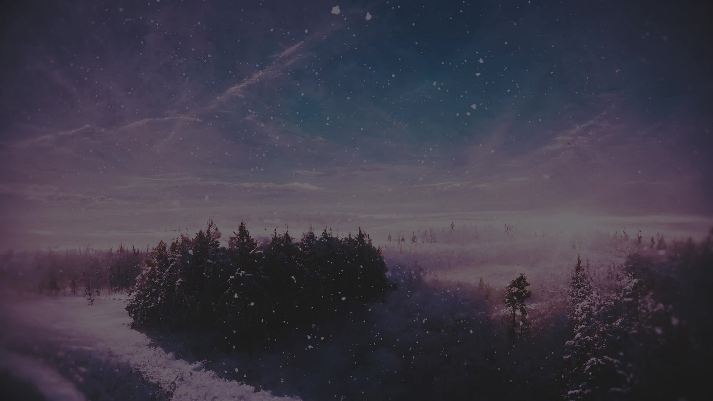 Winter Journey Forest Alt Still