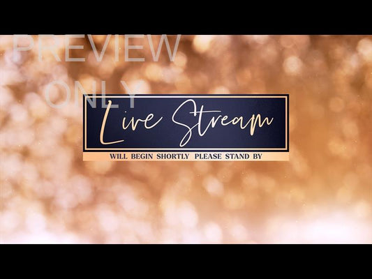Christmas Light: Live Stream Still