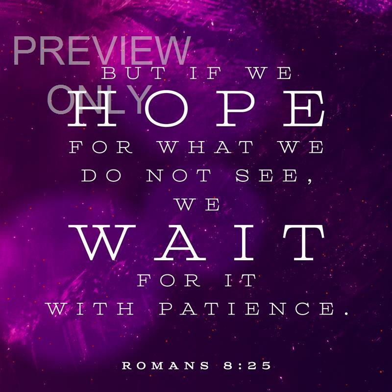 Advent Visions Social Graphic Scripture