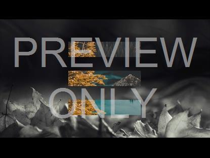 The Shape Of Fall 4 Graphic