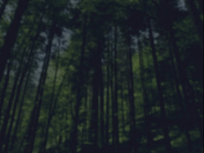 Green Forest