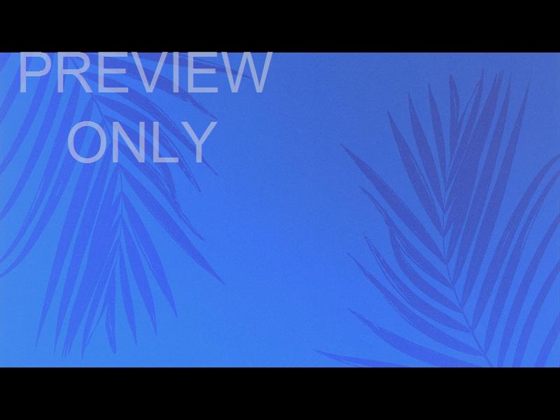 Risen Palms Still 9