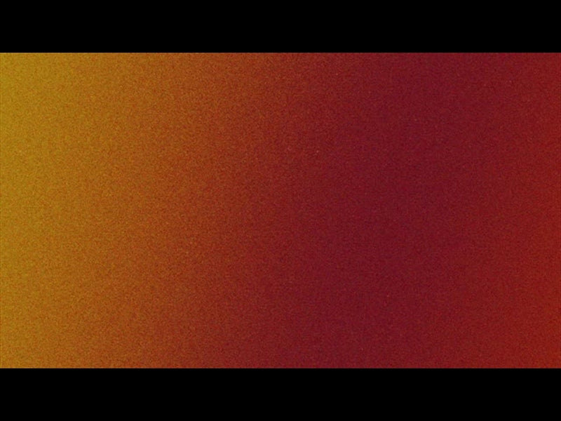 Easter Colors Orange 1