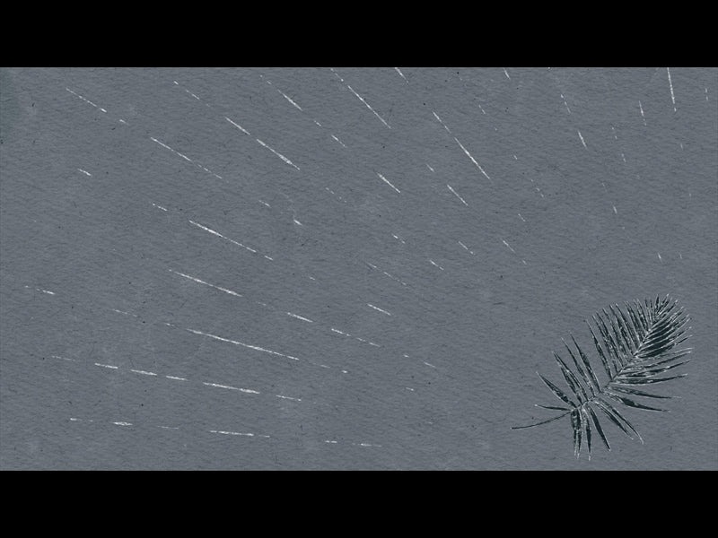 Drawn To Him Loop 12
