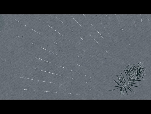 Drawn To Him Loop 12