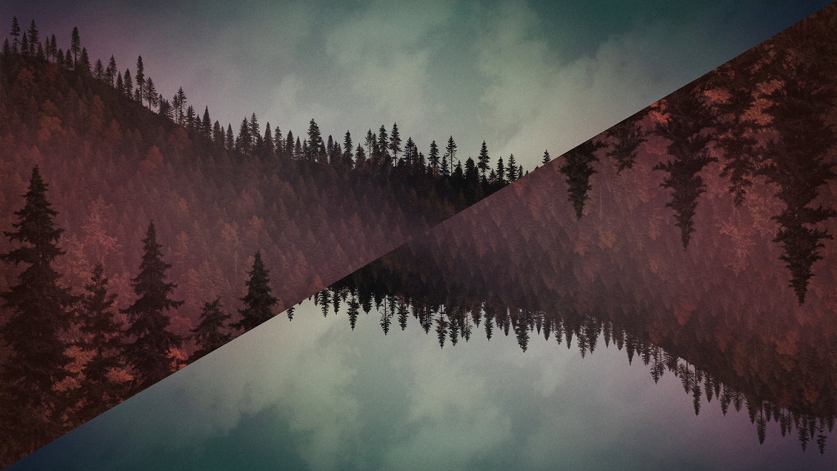 Ridgeline Fall 10 Remix
