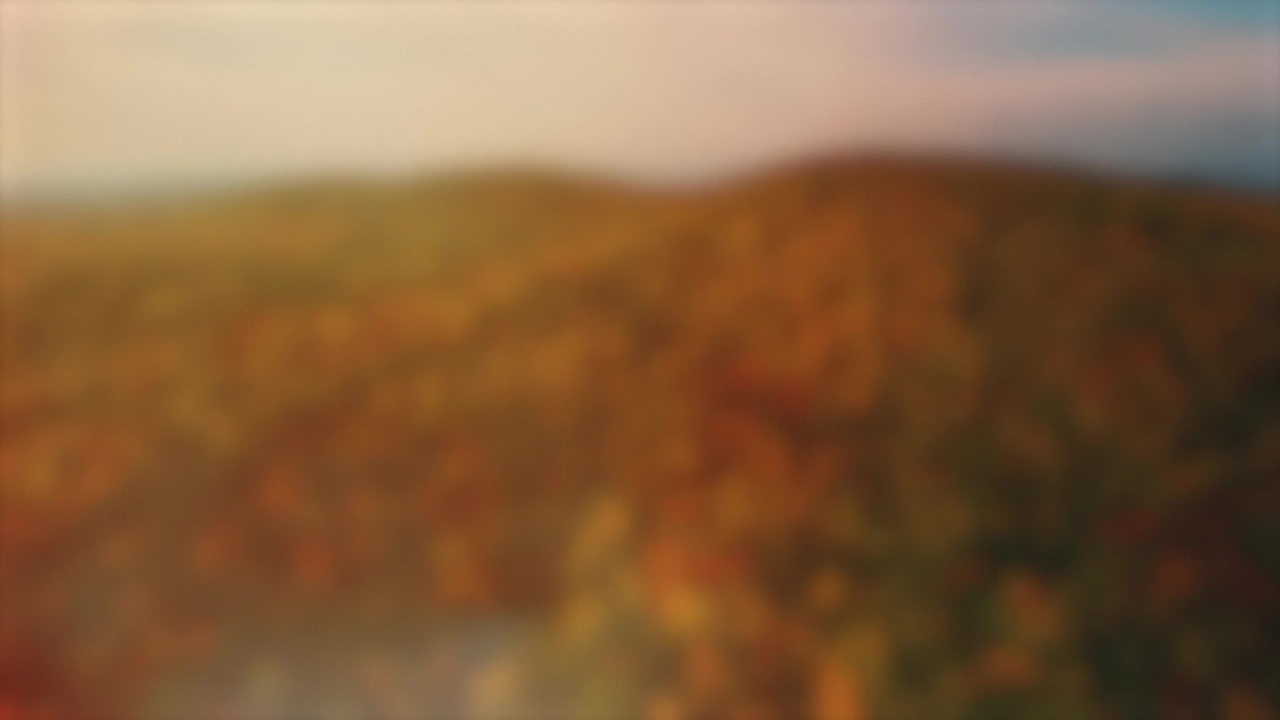 Thanksgiving Flight Autumn Blur Still