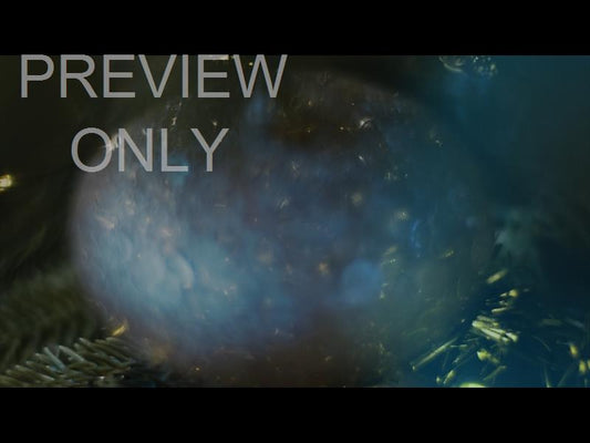 Bright And Beautiful Still 04