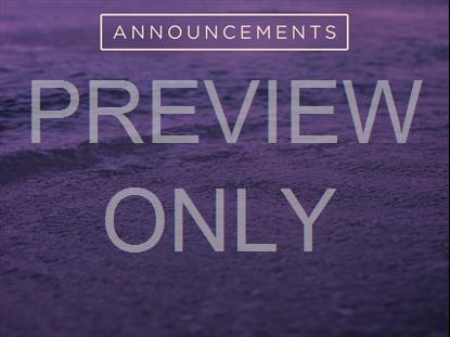 Sunset Surf Announcements