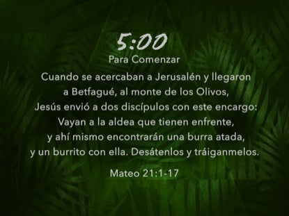 Palm Leaf Scripture Countdown Spanish