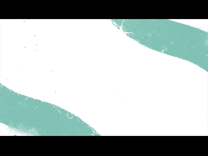 Dual Stripes White Teal