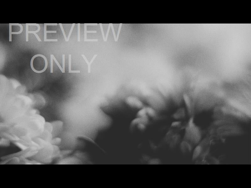 Flora Mae Still 08