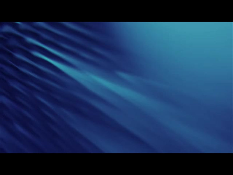 Aqua Scales 9